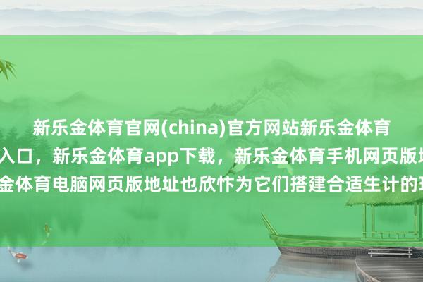 新乐金体育官网(china)官方网站新乐金体育官网中国)官方网站登录入口，新乐金体育app下载，新乐金体育手机网页版地址，新乐金体育电脑网页版地址也欣忭为它们搭建合适生计的环境-亿德体育(中国)官方网站 登录入口