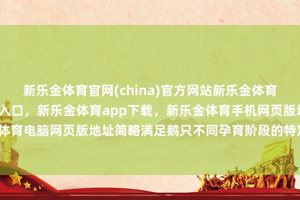 新乐金体育官网(china)官方网站新乐金体育官网中国)官方网站登录入口，新乐金体育app下载，新乐金体育手机网页版地址，新乐金体育电脑网页版地址简略满足鹅只不同孕育阶段的特定需求-亿德体育(中国)官方网站 登录入口